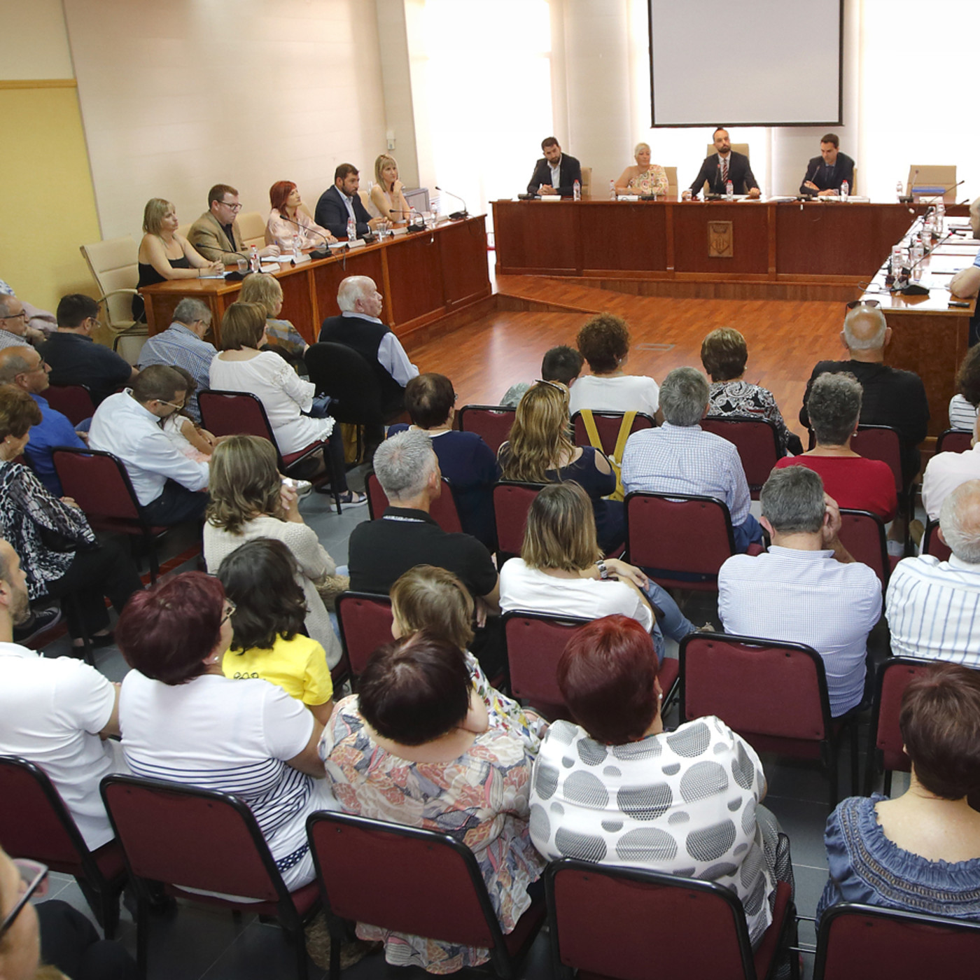 Plens municipals