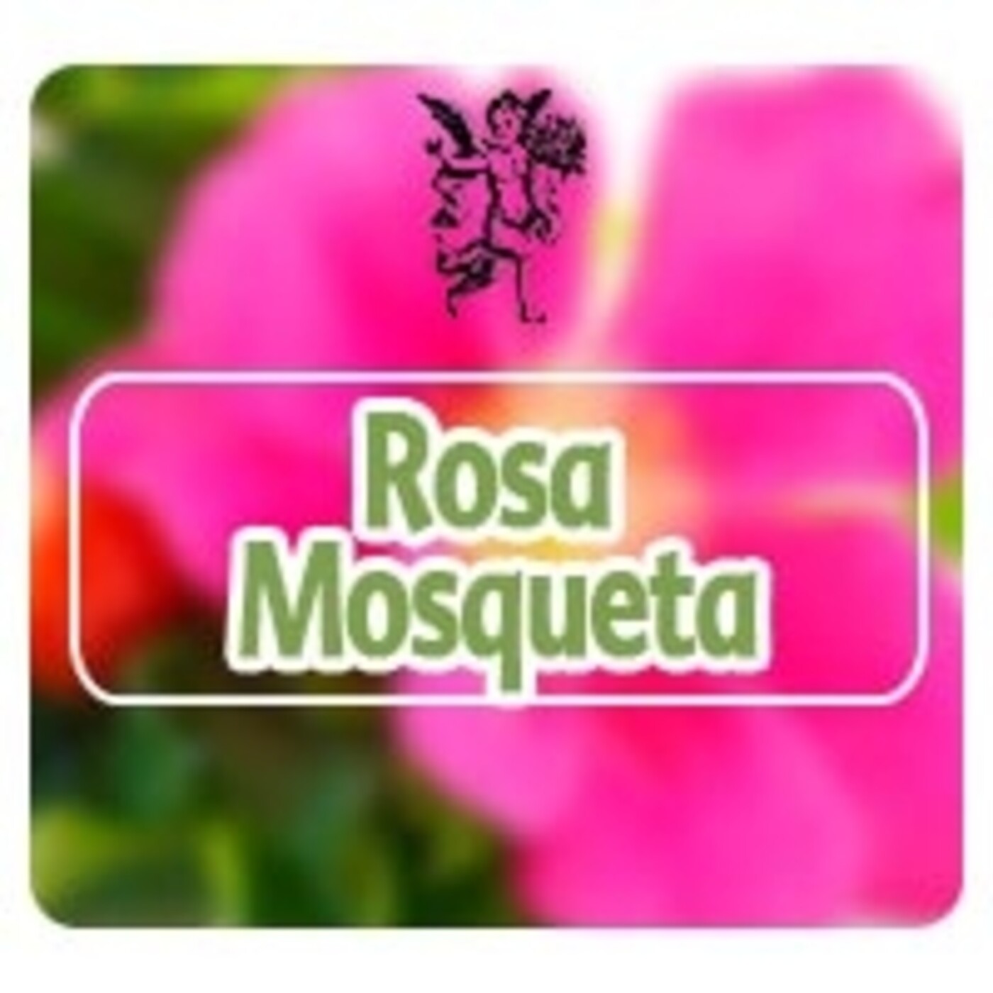 El Ángel de tu Salud - ROSA MOSQUETA* episode artwork