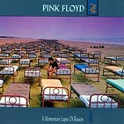 Radio Insomnia Programa 127 "A Momentary Lapse of Reason"