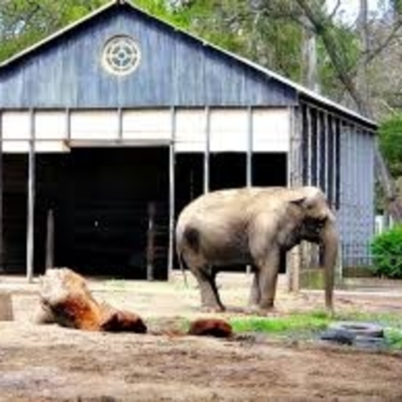 El zoológico se convertirá en un bioparque