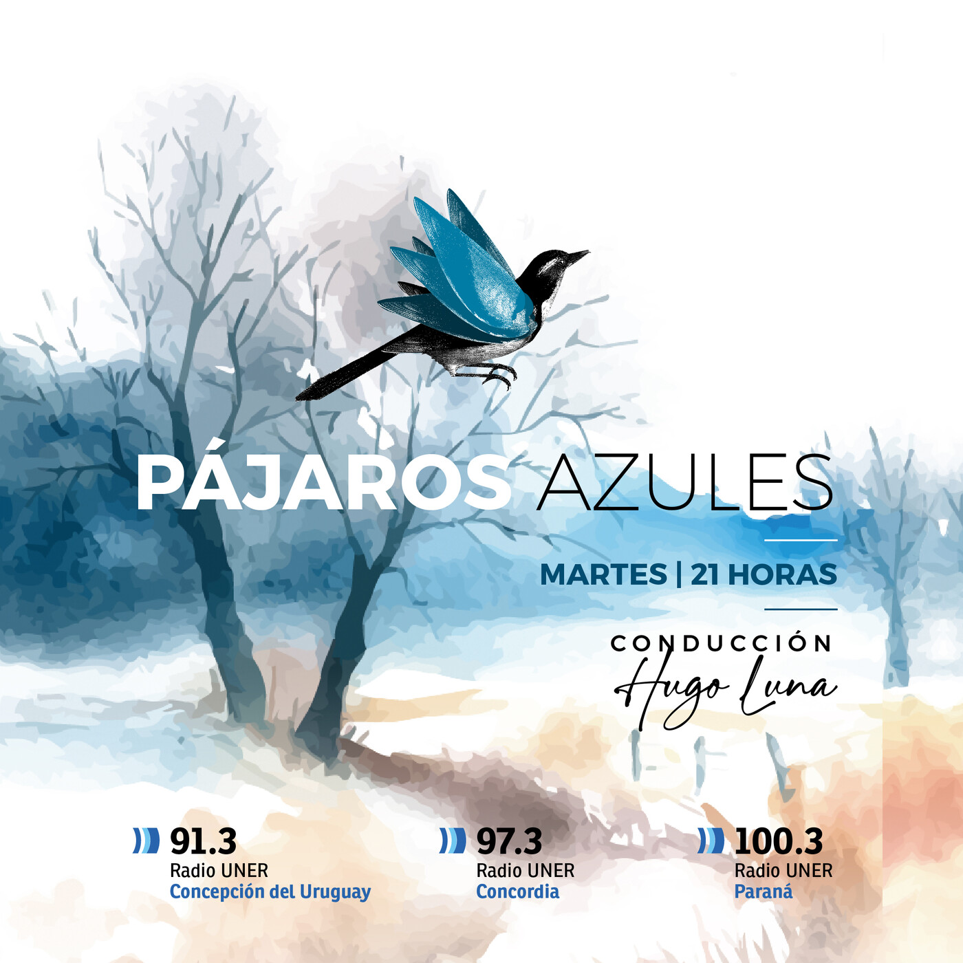 Pájaros Azules