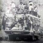 embed image