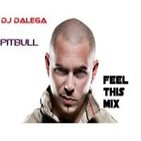 Dj Dalega - Pitbull - Feel This Mix