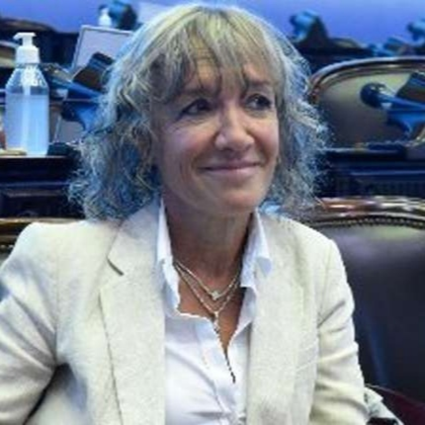 Monica Frade @MonicaFradeok (Diputada Nacional por la Pcia. Bs As. Coalición Cívica, en JxC) @picaditasabado
