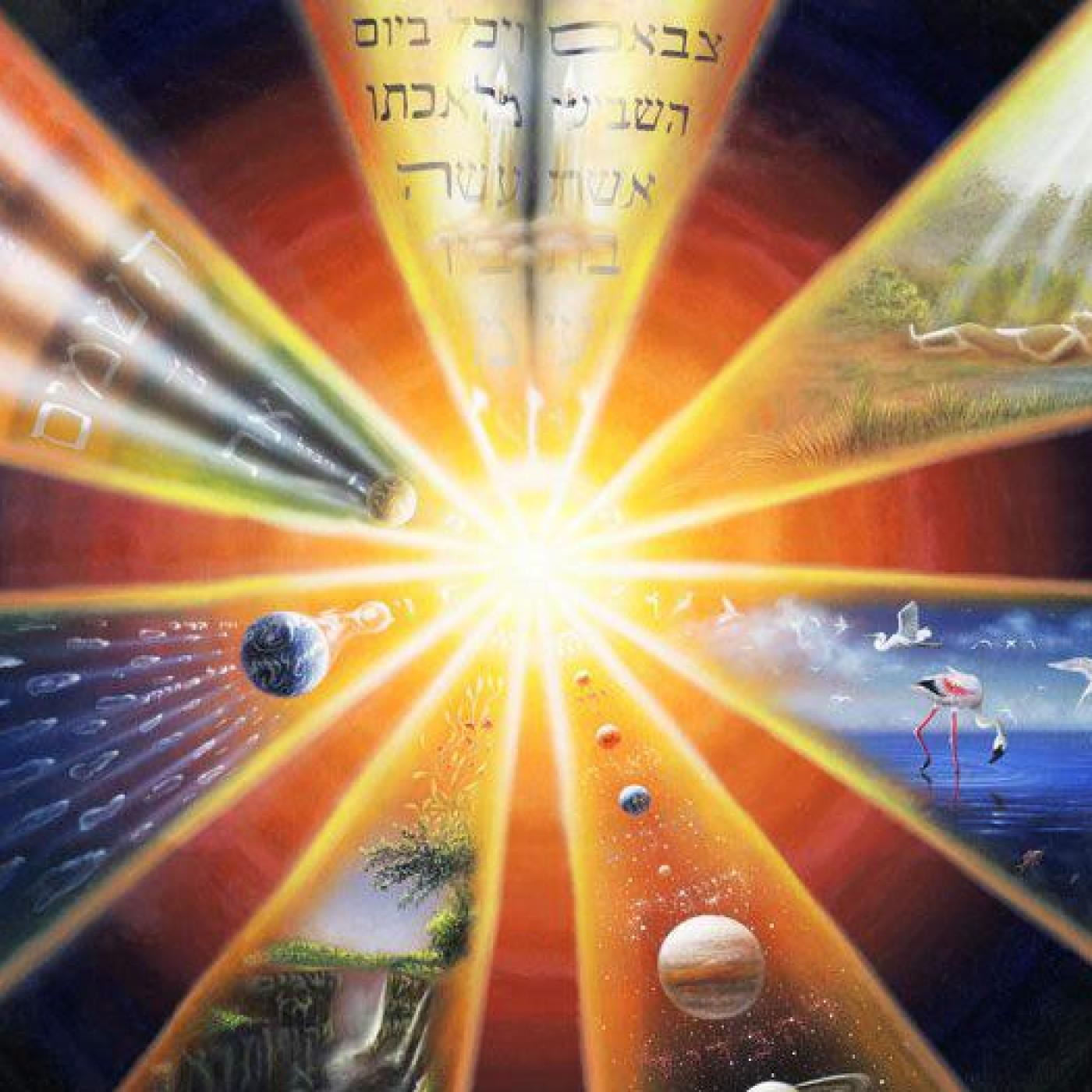 David Nesher