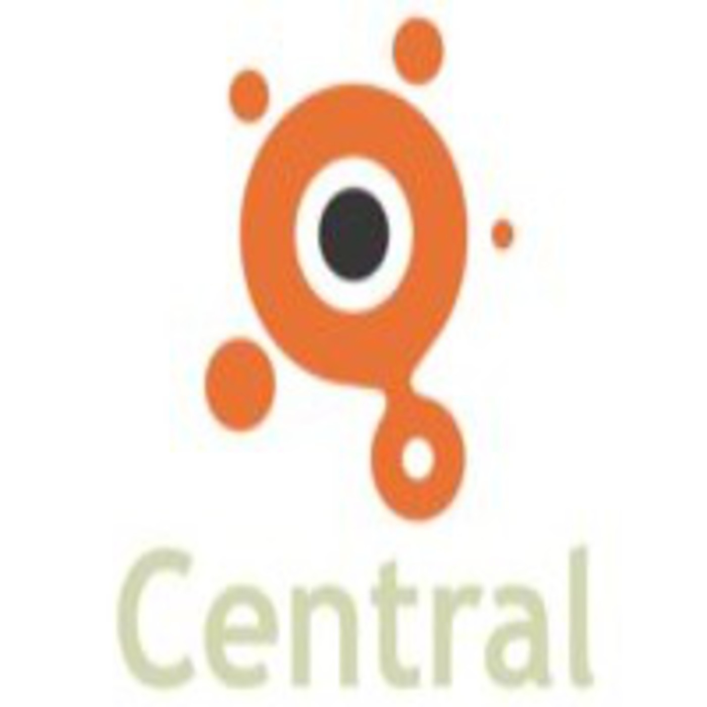 Estación Central 29 ene 2013
