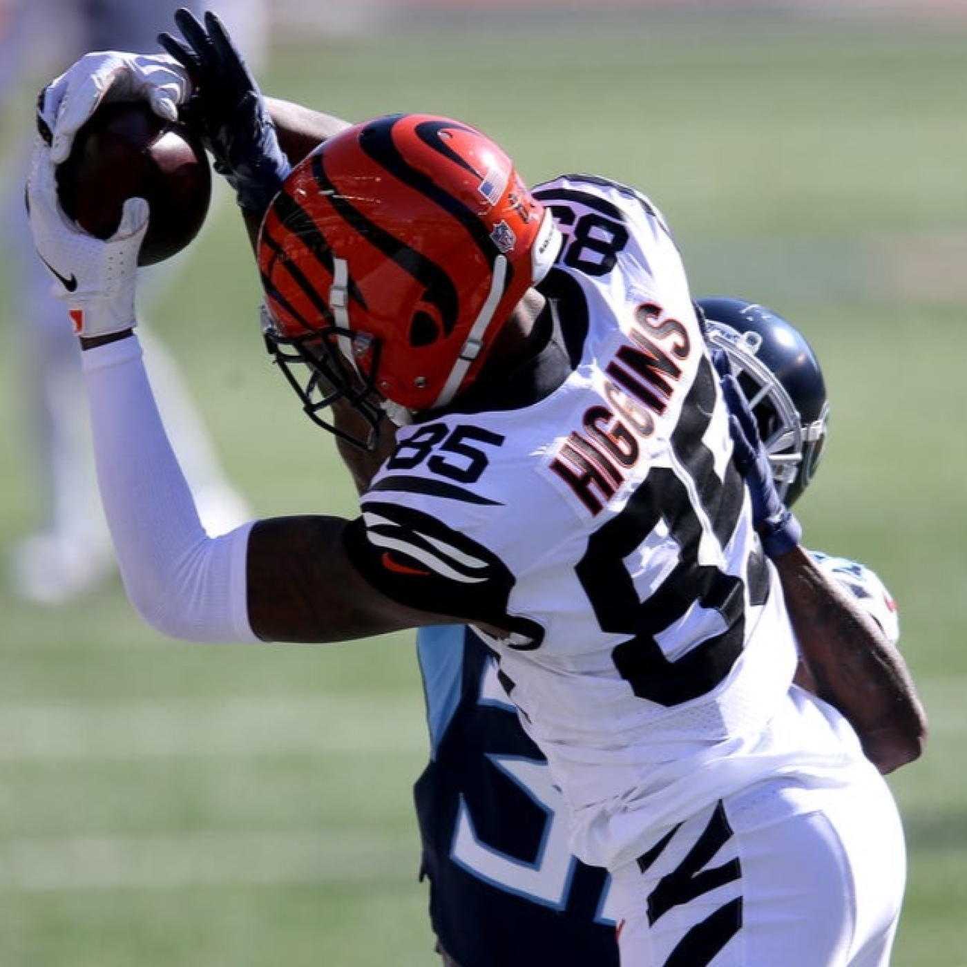 La Jungla Hispana - Bengals.es