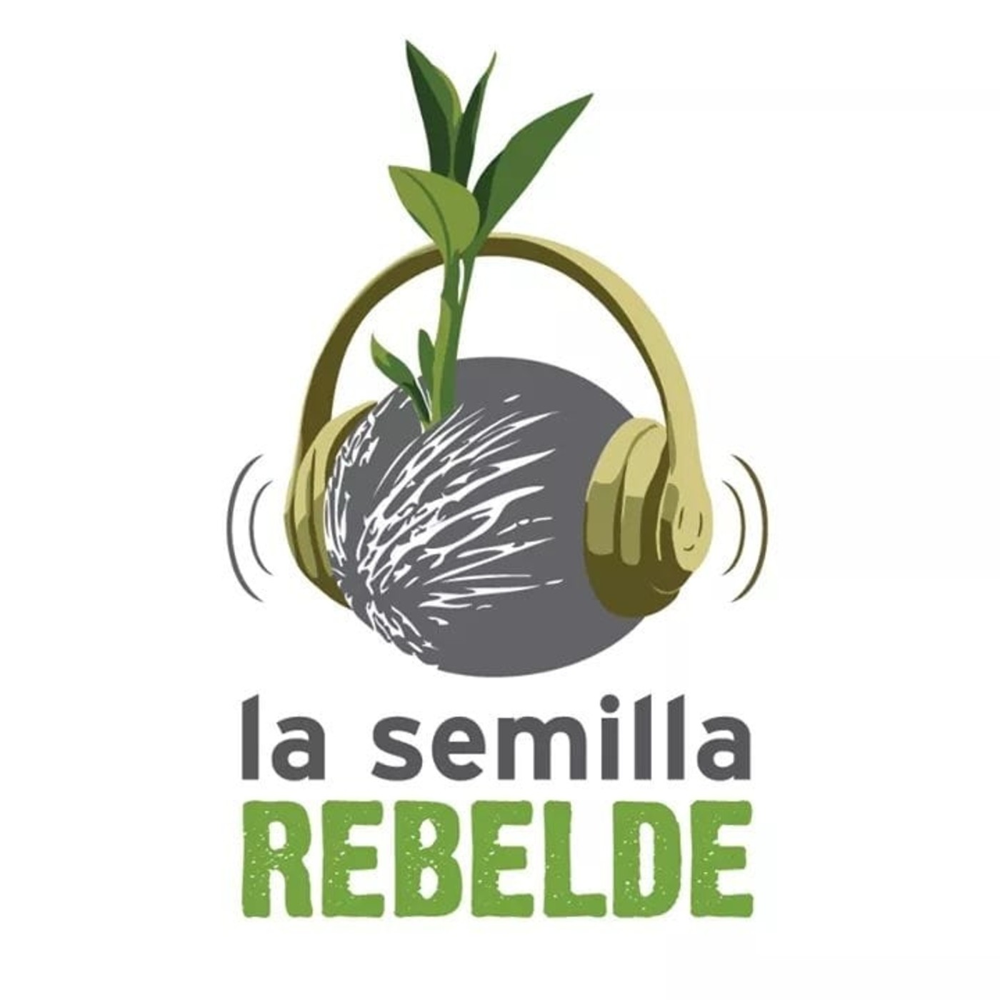#LaSemillaRebelde 18.3.2019 #ConcienciaSolidaria #Córdoba