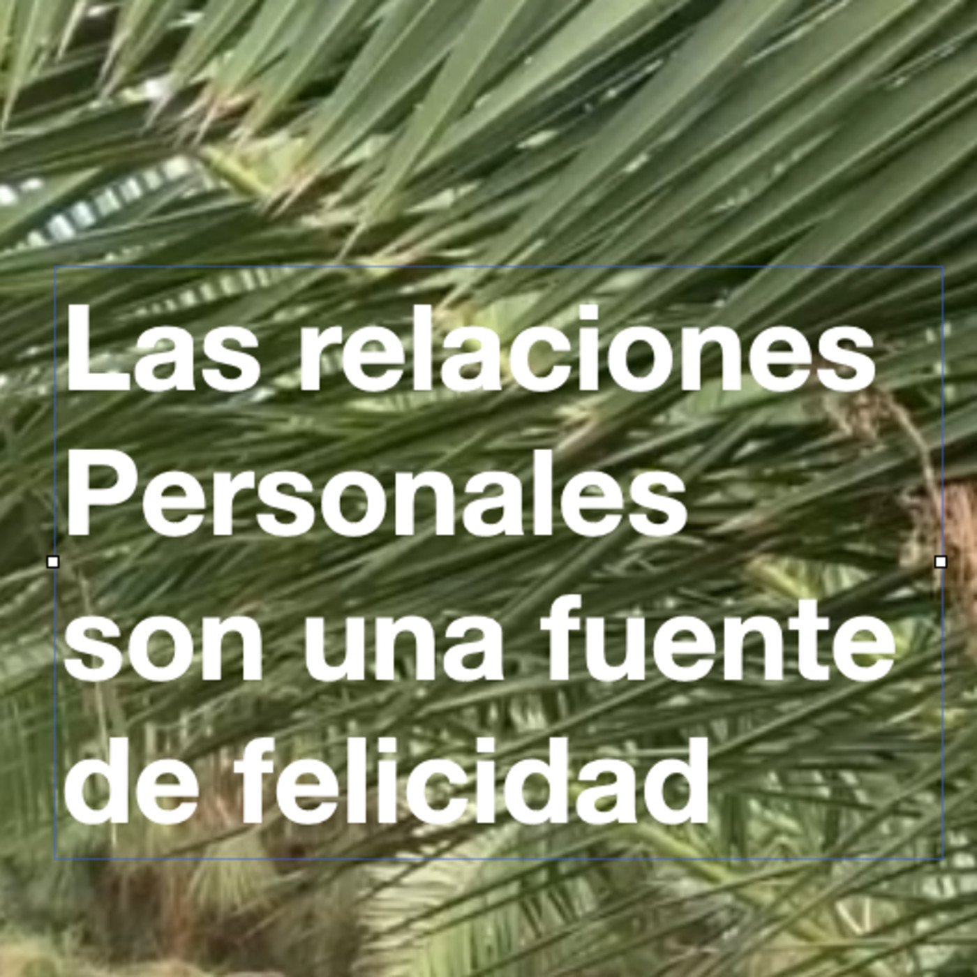 Buscando en el interior