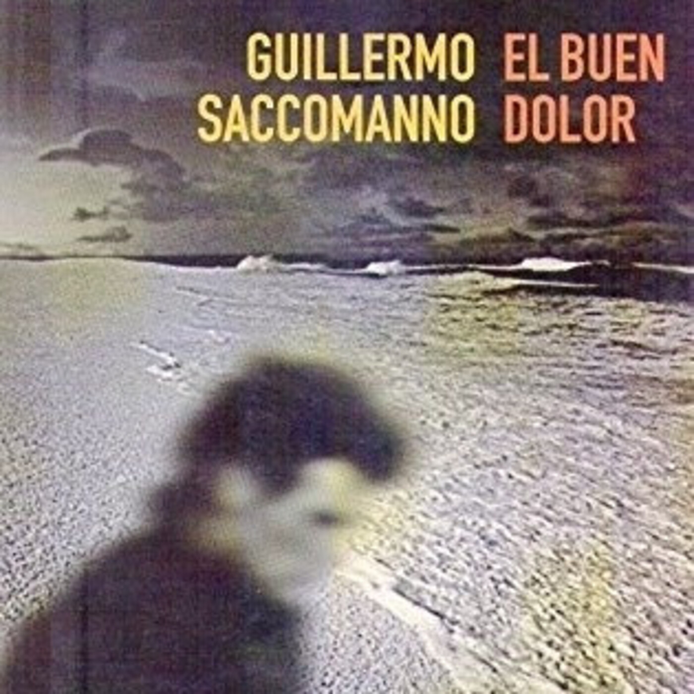 "El buen dolor", de Guillermo Saccomanno (fragmento)