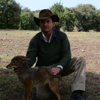 Lobos en Marruecos ? - Dr. Vicente Urios -