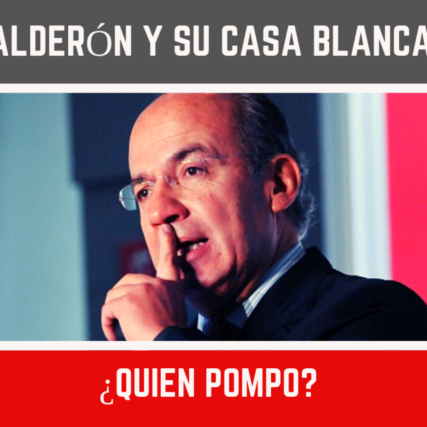 Me Canso Ganso MX