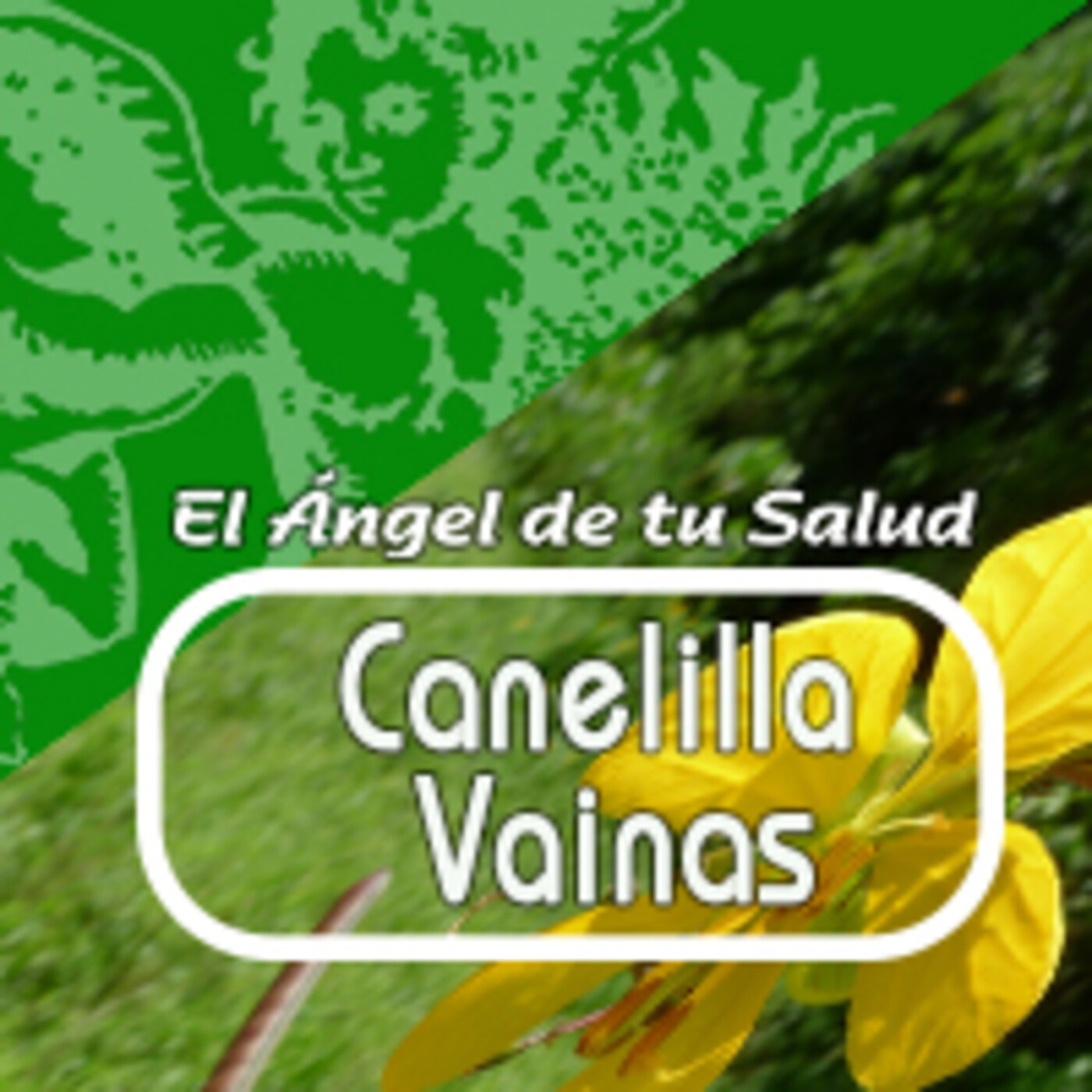 El Ángel de tu Salud - CANELILLA VAINAS episode artwork