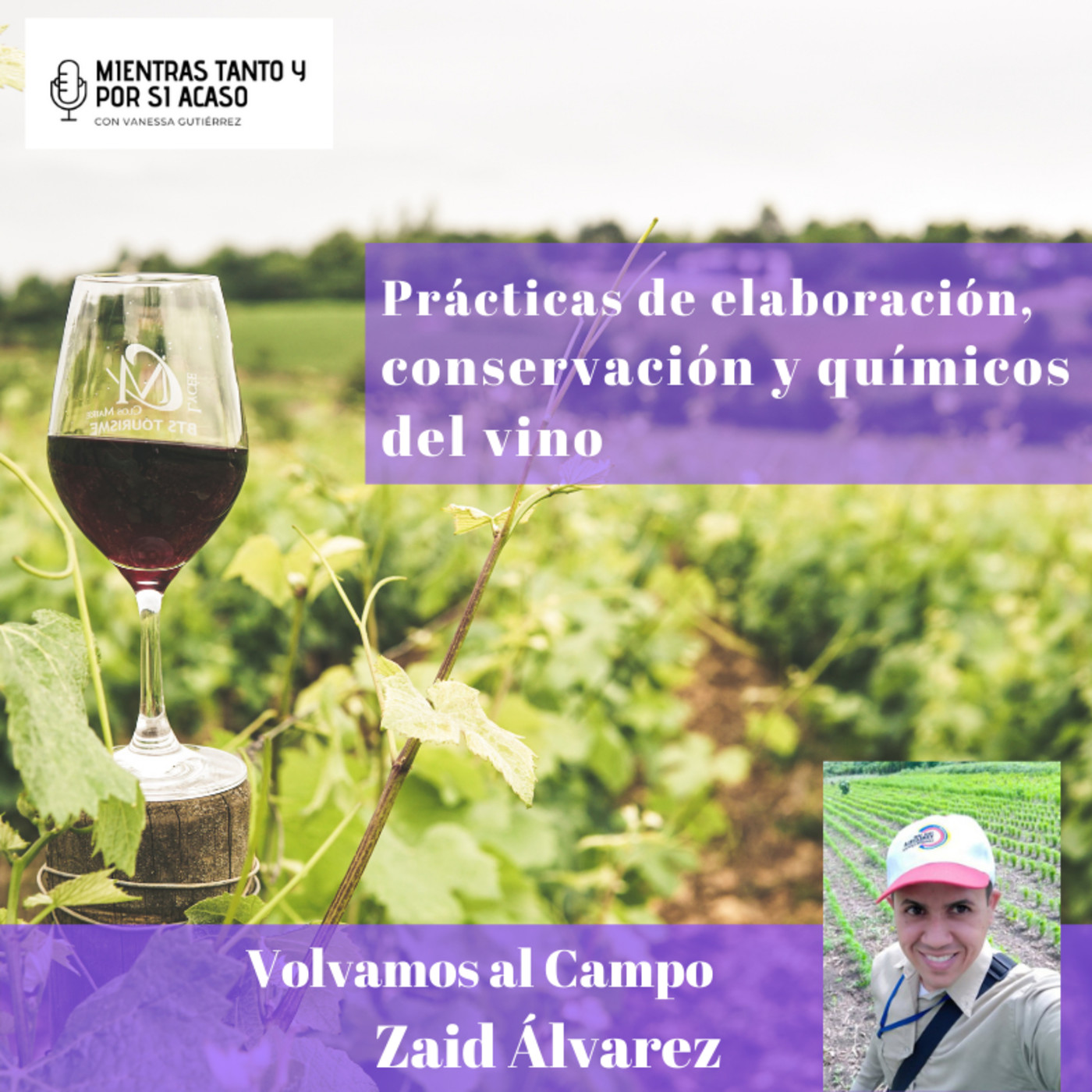 Columna Volvamos al Campo