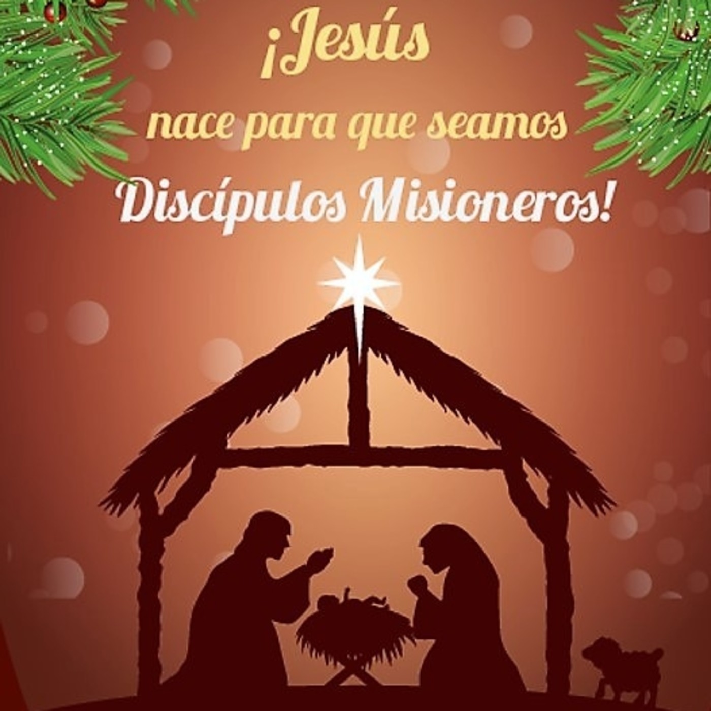 Novena de Navidad 2017