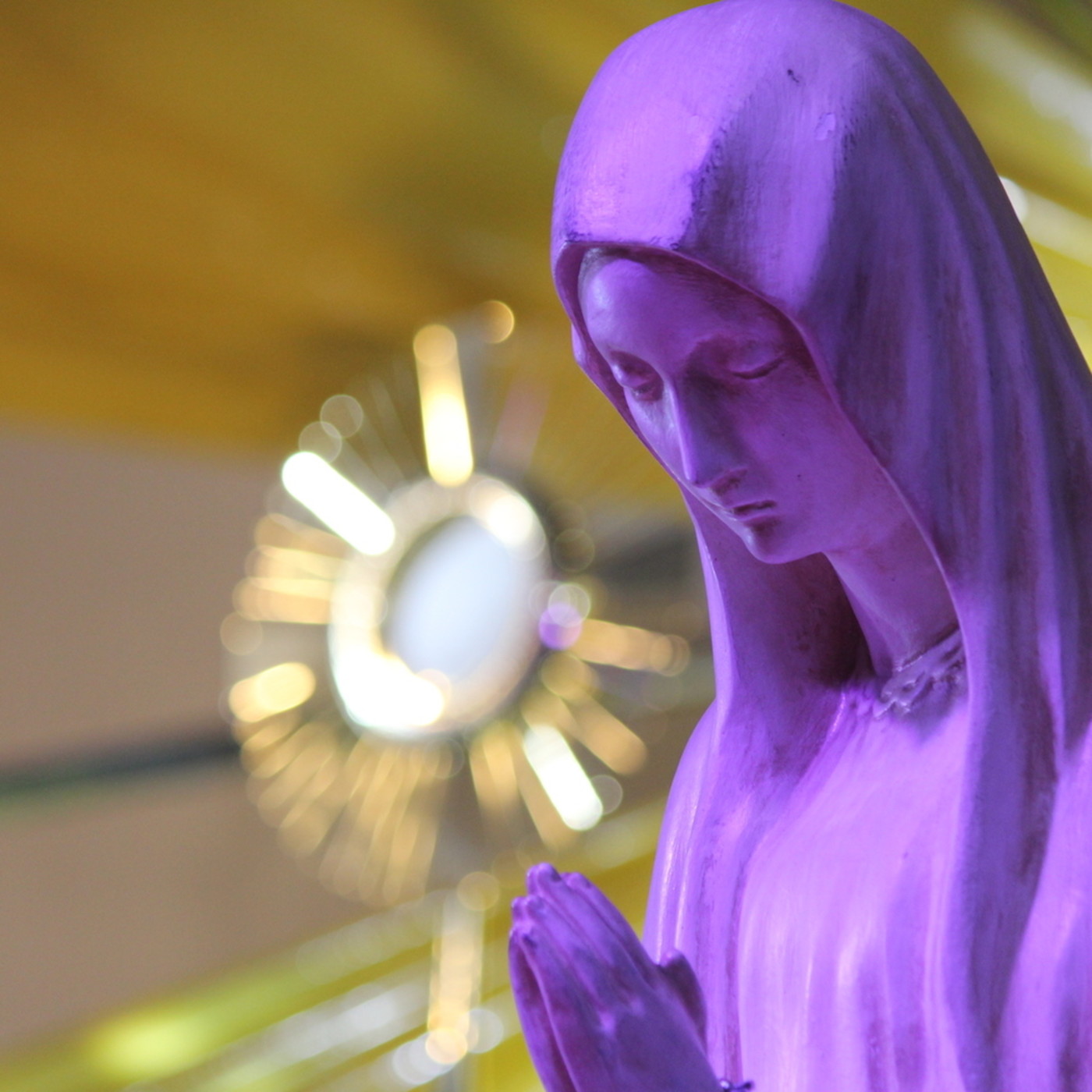 Homilía en la Sagrada Eucaristía del 31 de diciembre desde Bogotá episode artwork