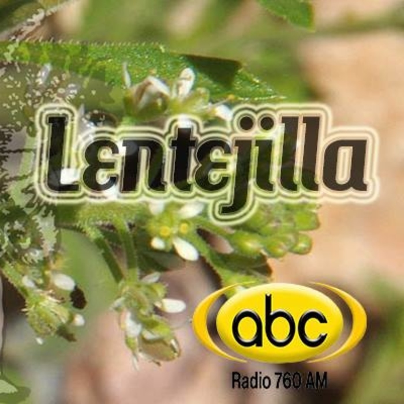 El Ángel de tu Salud - LENTEJILLA