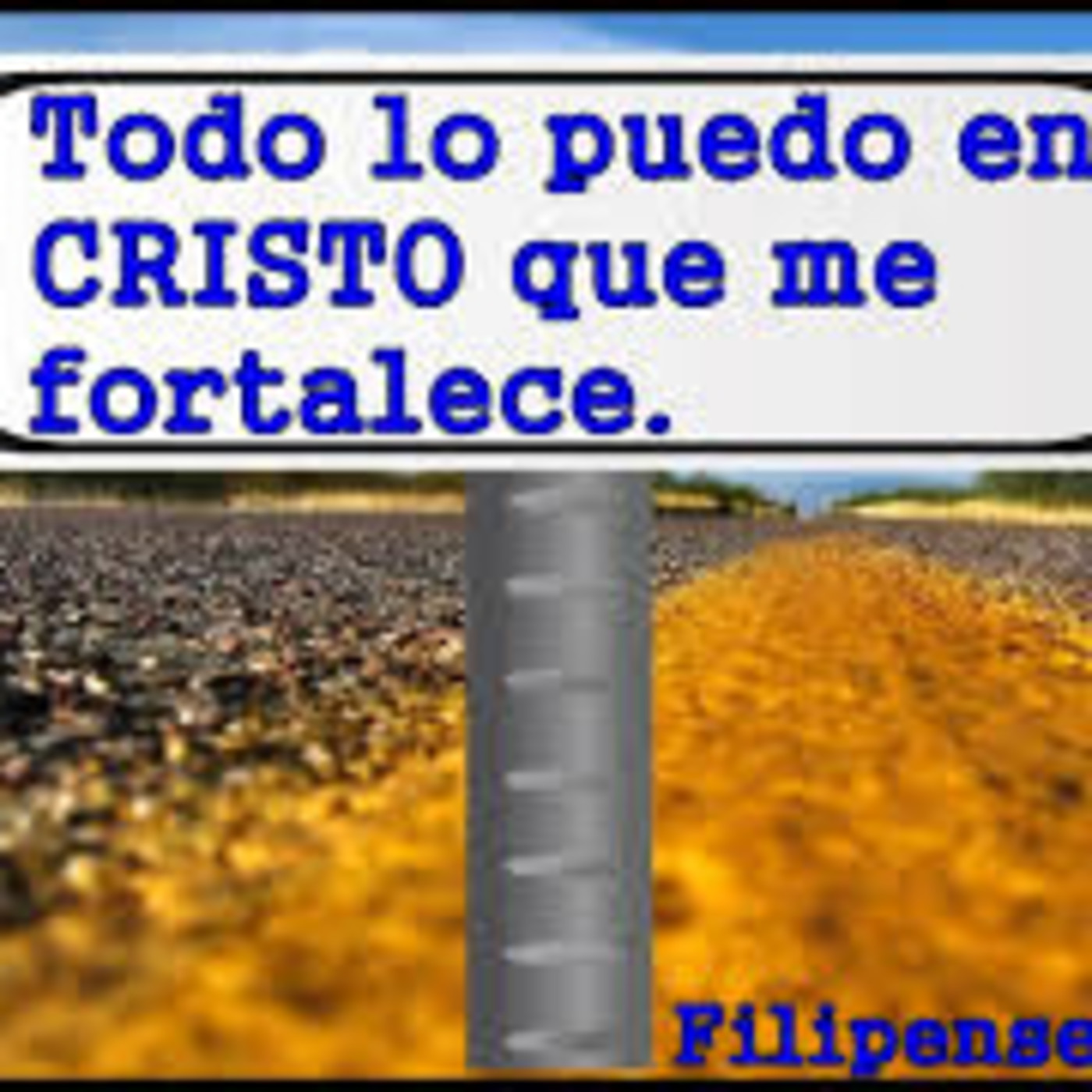 ofir urrea