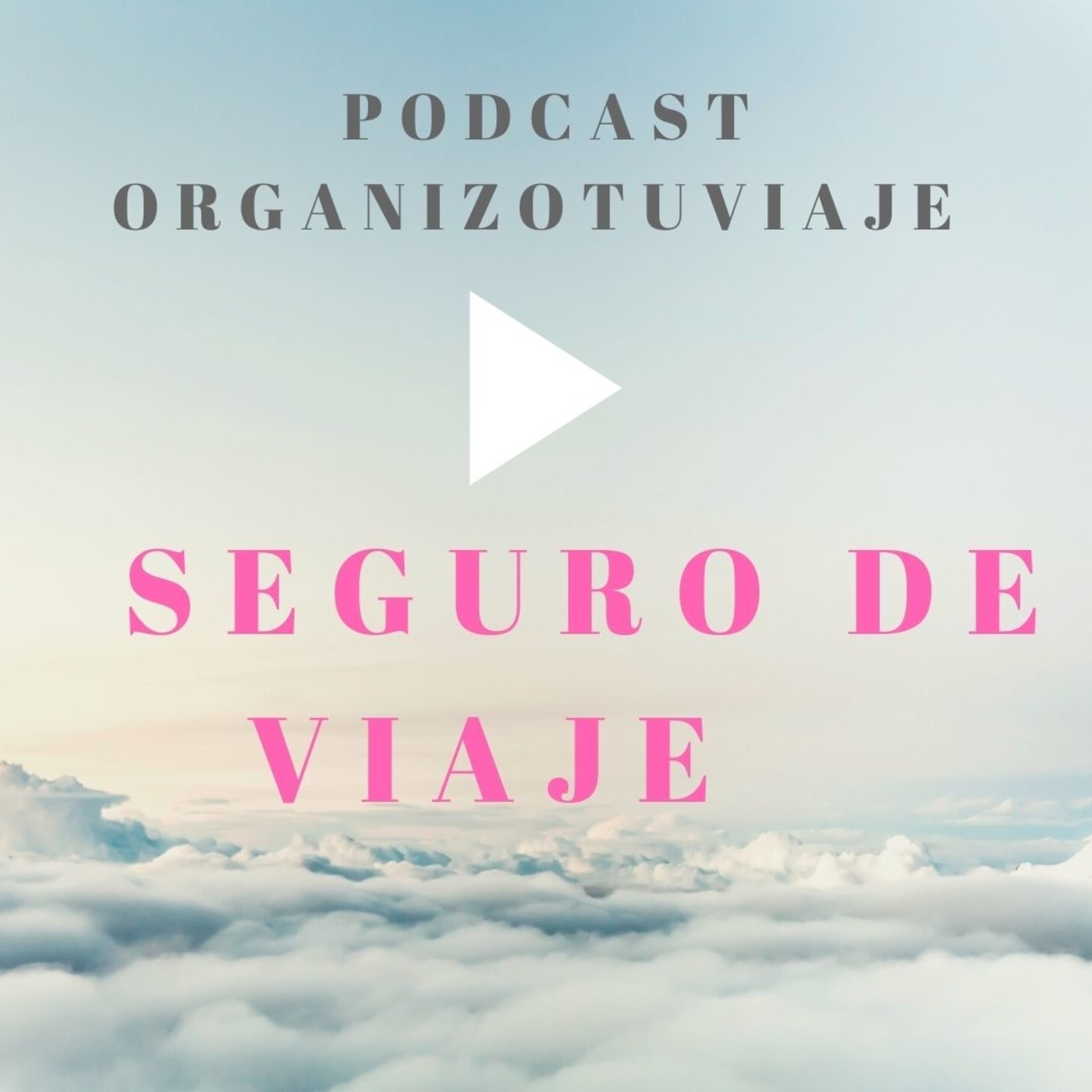 Organizotuviaje