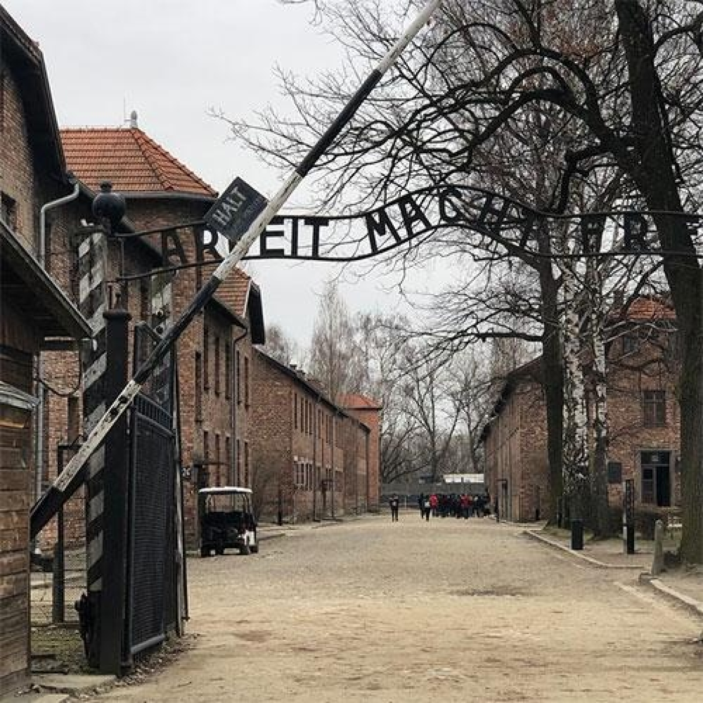 AUSCHWITZ EN 33 OBJETOS (cap 1) #documental #historia #nazismo #podcast - podcast episode cover