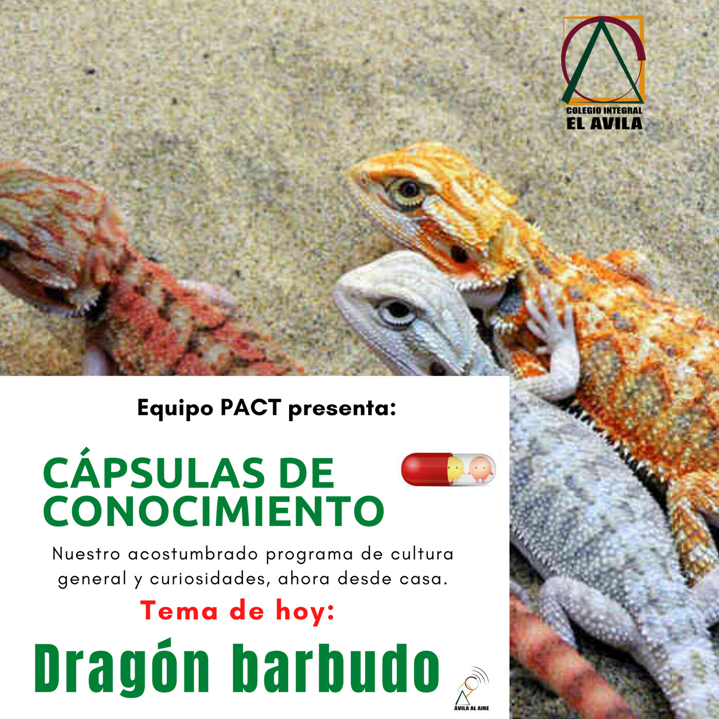 PACT - Cápsulas de conocimiento