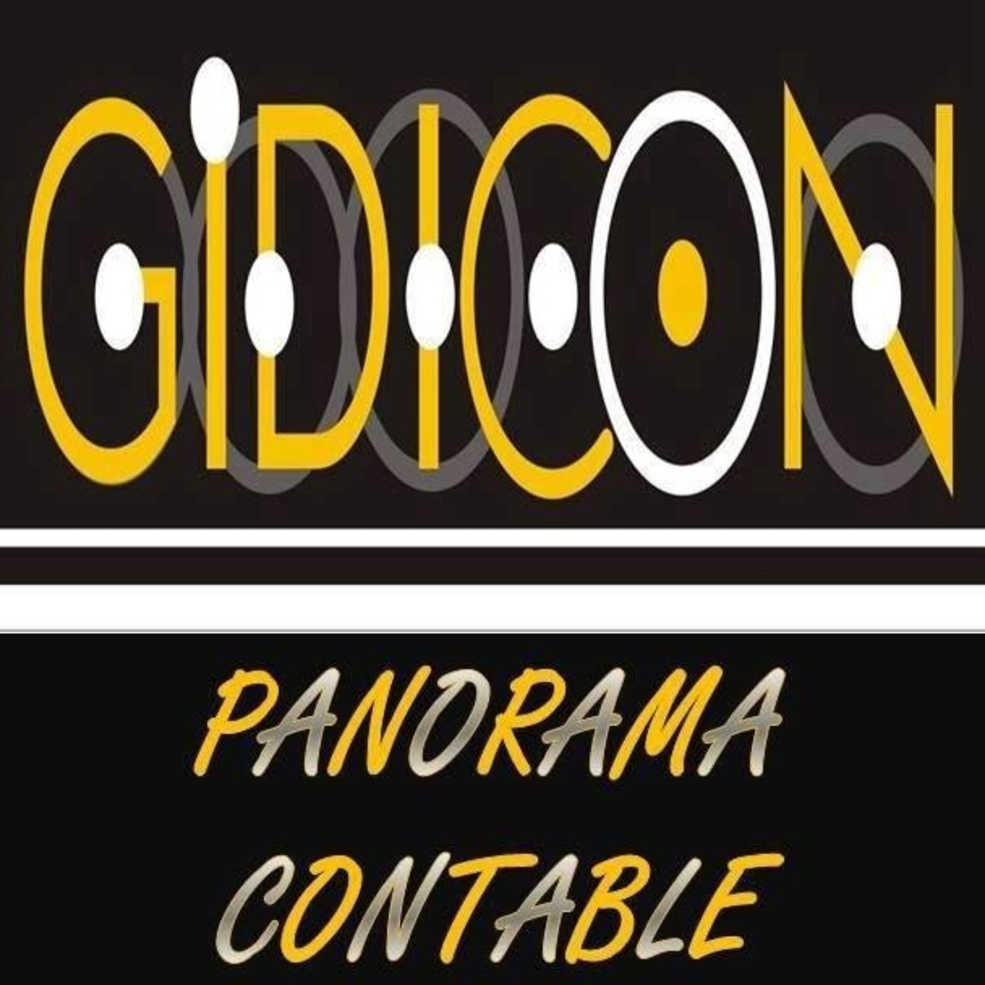 Panorama Contable