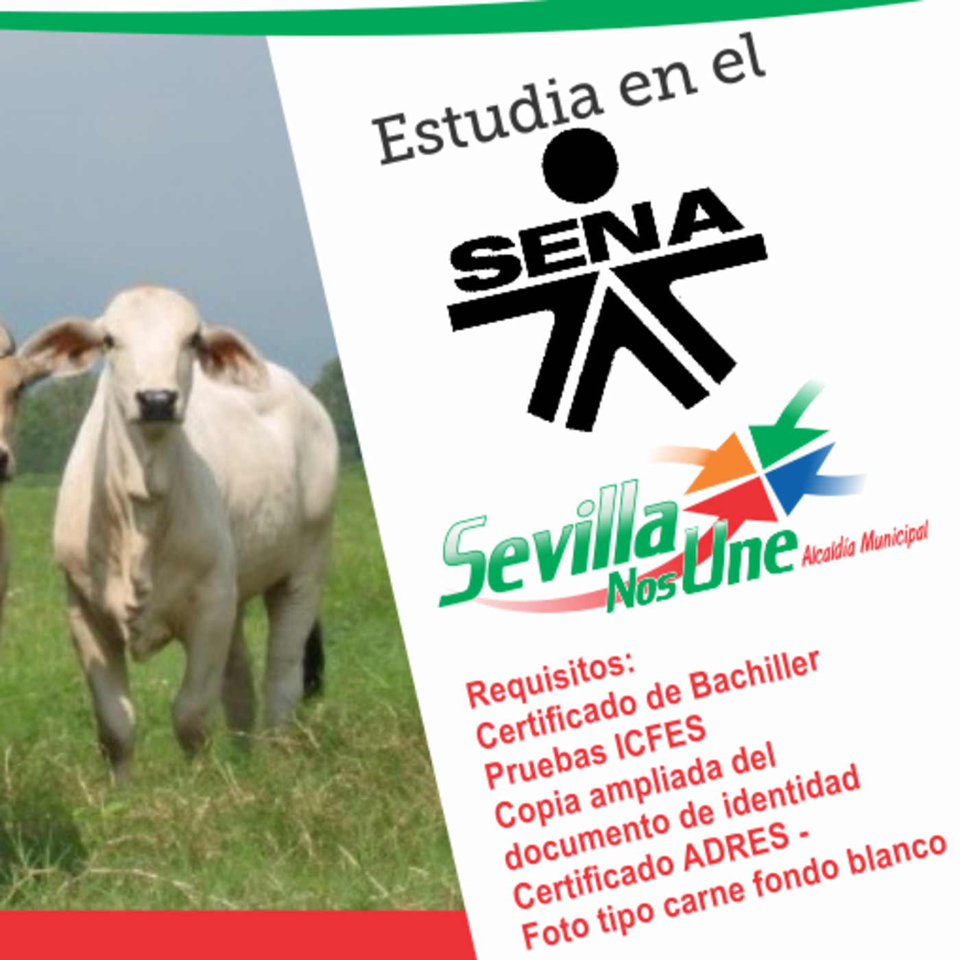 Capsula Informativa 19 octubre de 2017