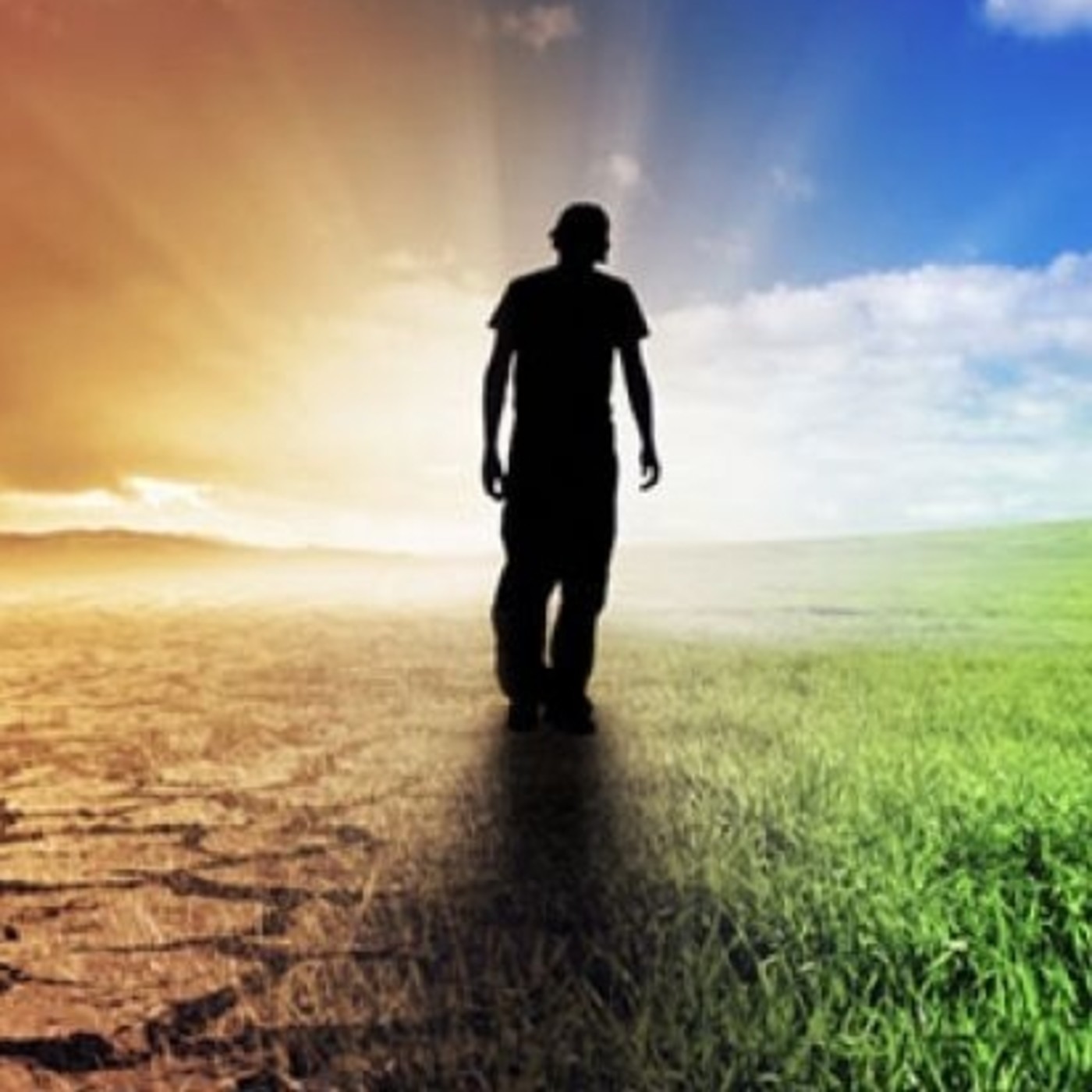 Descubriendo tus caminos que tienen corazón Descubriendo tus caminos que tienen corazón