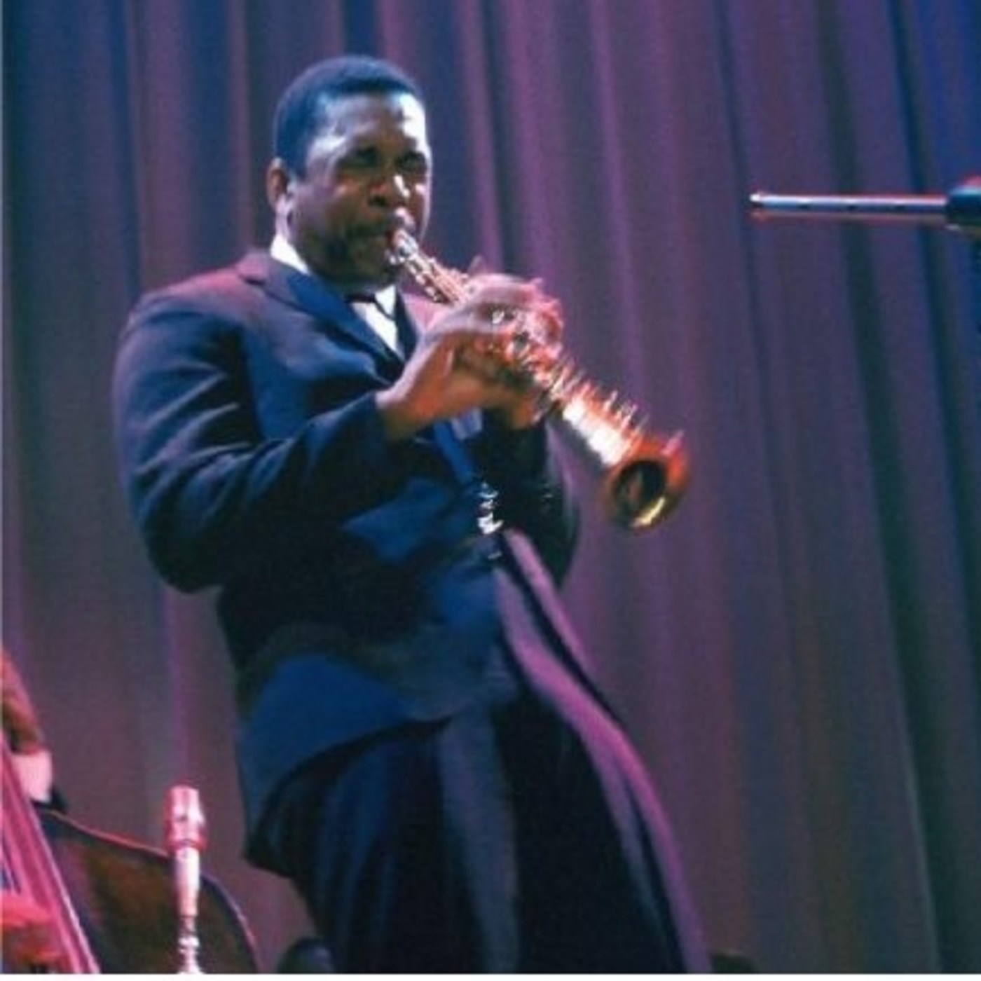 SAN ONOFRE, 19-XVII live trane episode artwork