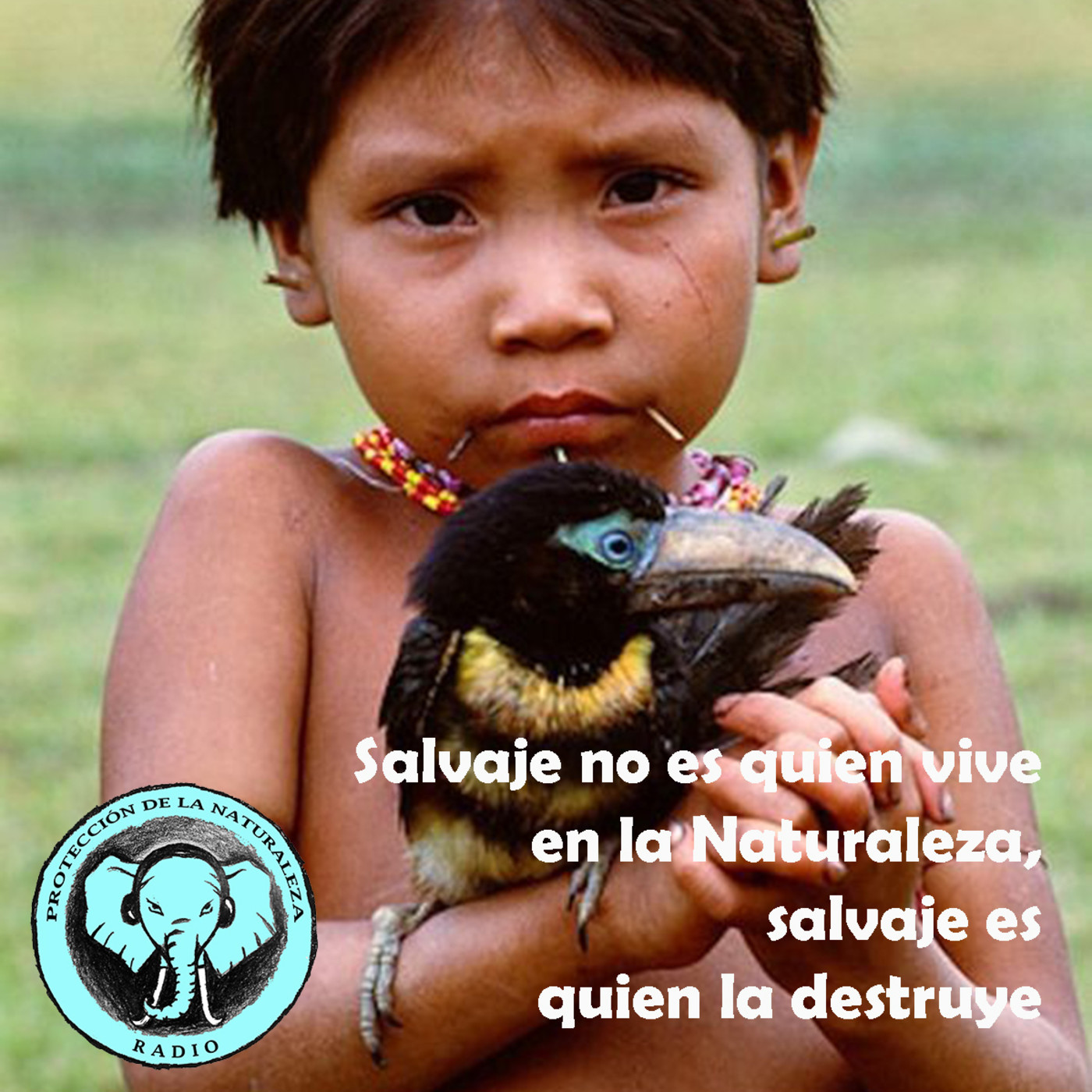 Protección de la Naturaleza Radio