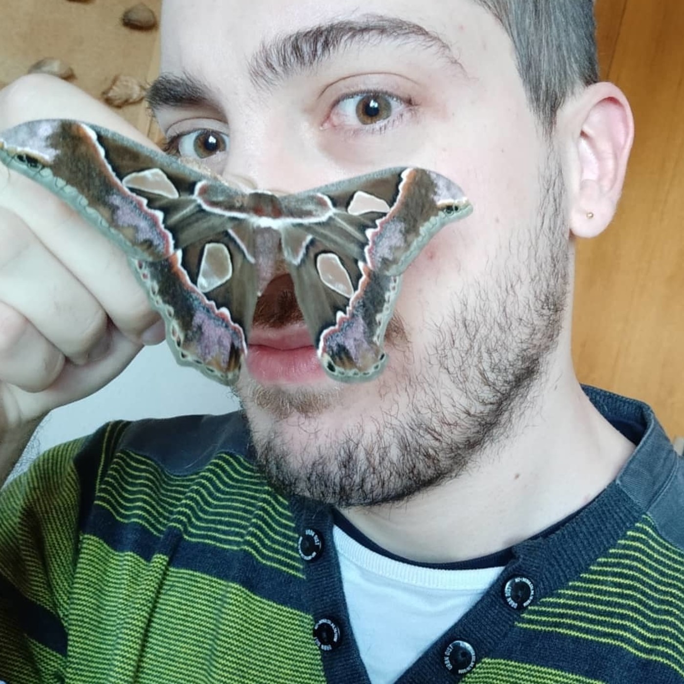 Ansia Térmica,