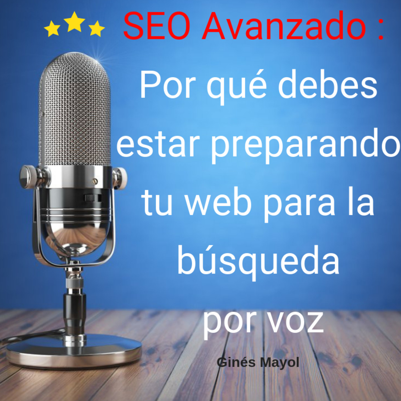 Gines Mayol - SEO