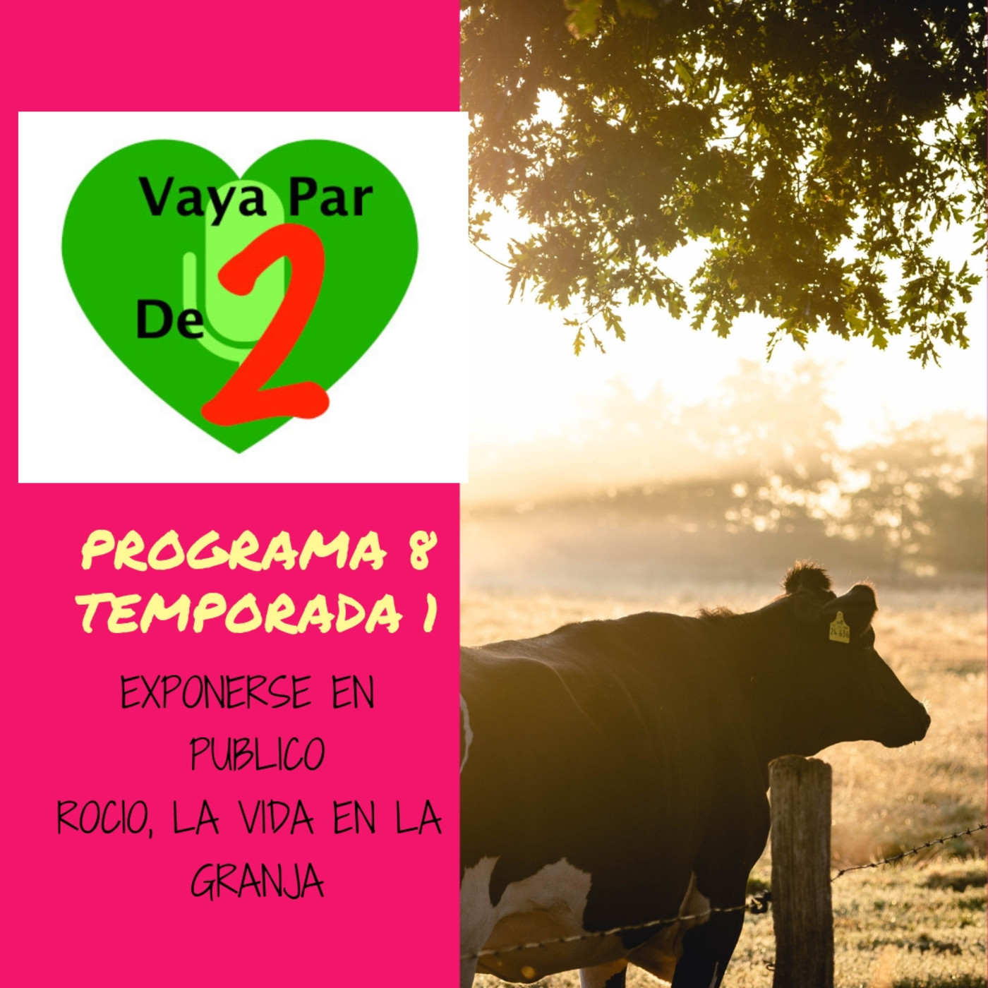 Vaya par de dos