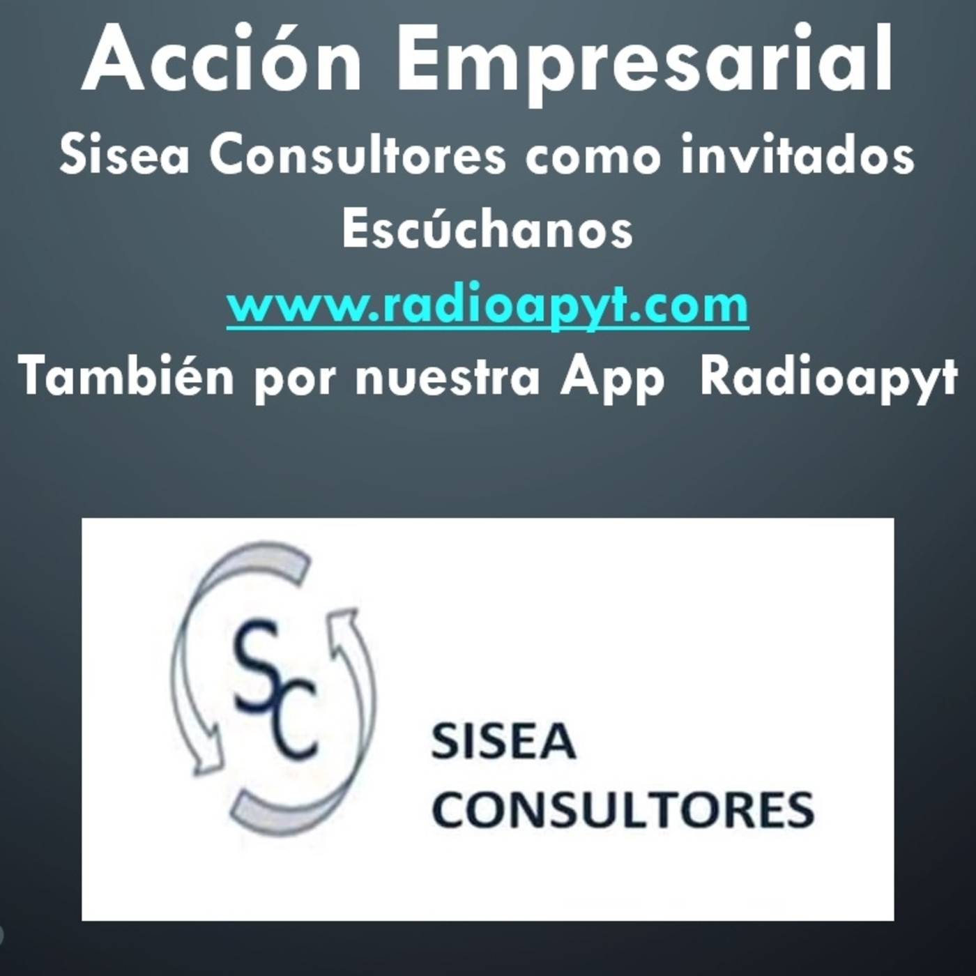 Axn Empresarial