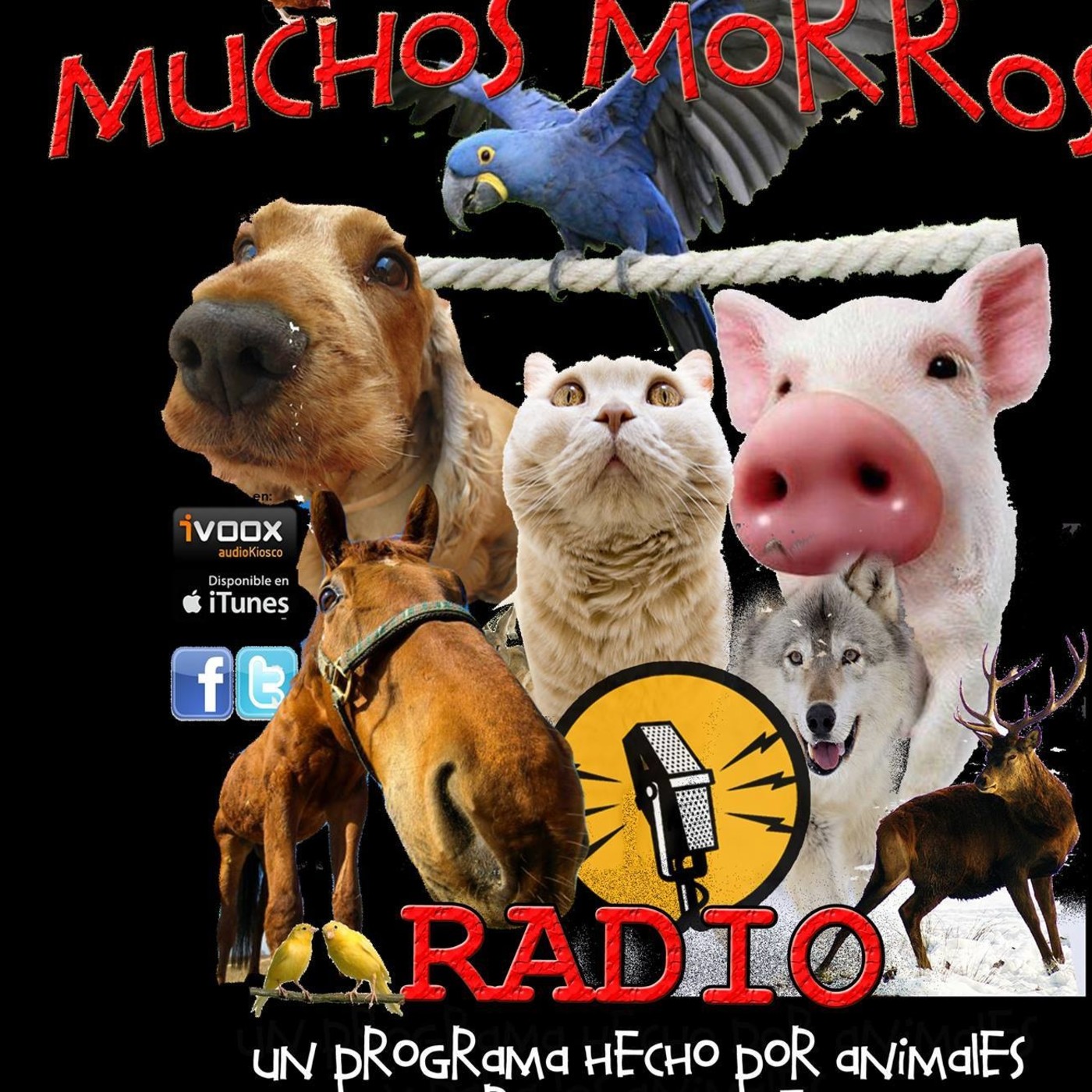 Muchos Morros