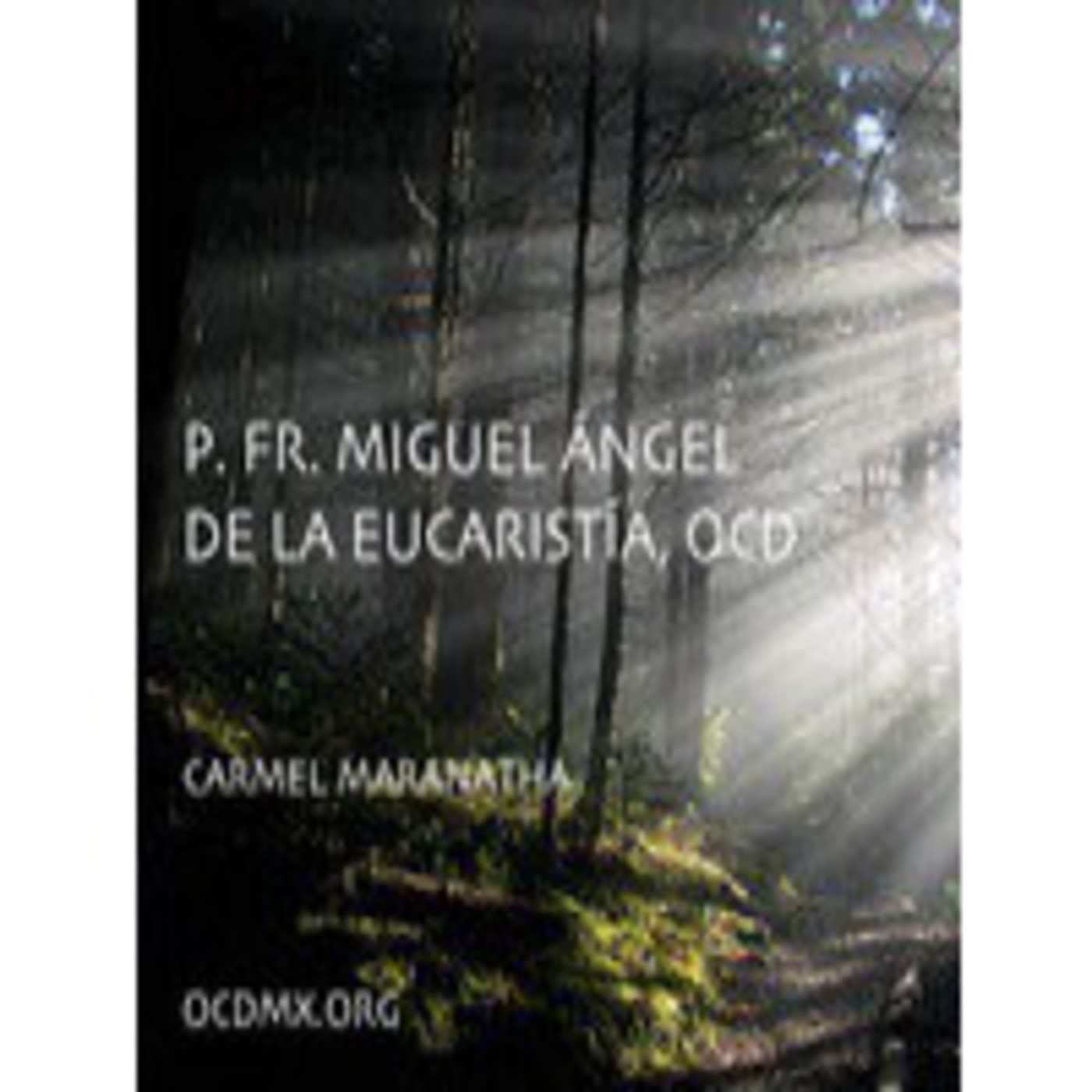 0401 Elogio a la meditacion 1