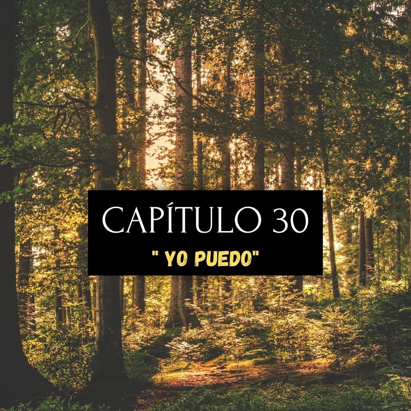 PALABRAS QUE IMPULSAN SUEÑOS