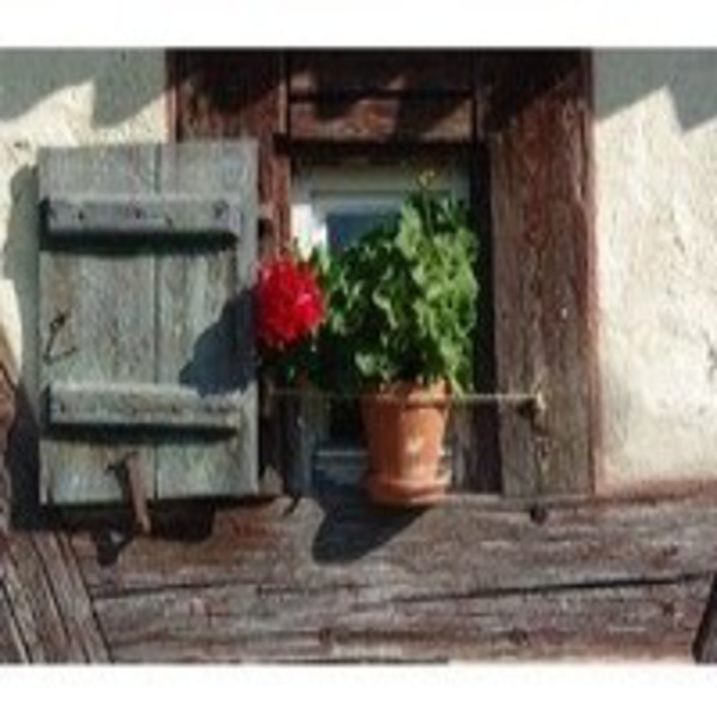 Podcast Ingresos Hoy en Día - Paloma Reino