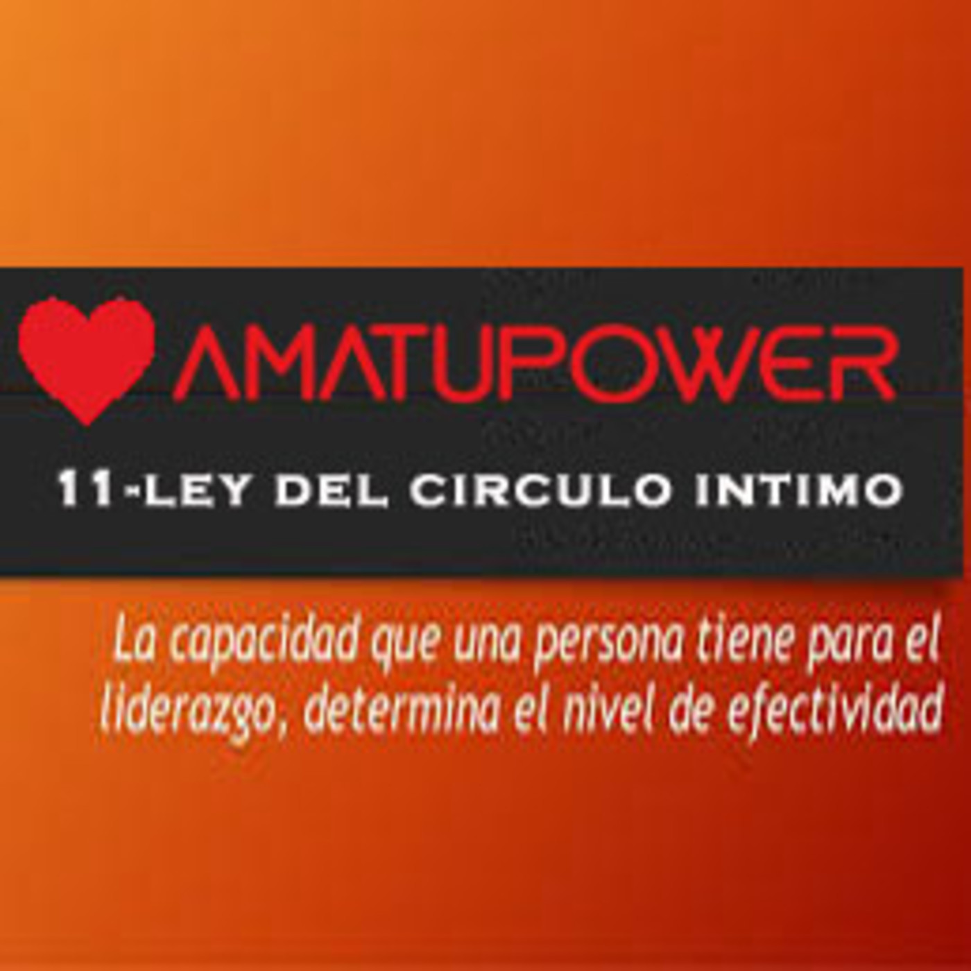 Las 21 leyes Irrefutables del liderazgo de John C.