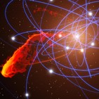 embed image