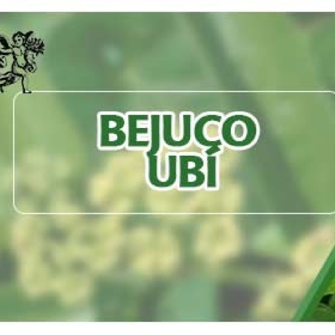 El Ángel de tu Salud - BEJUCO UBI episode artwork
