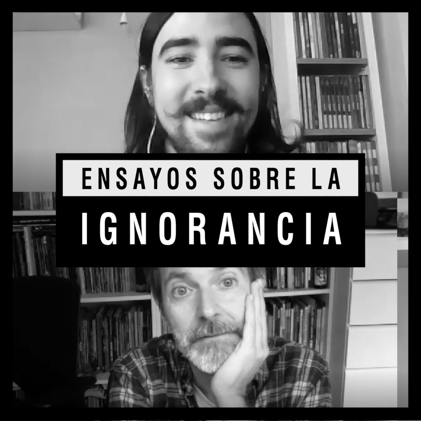 Ensayos sobre la ignorancia