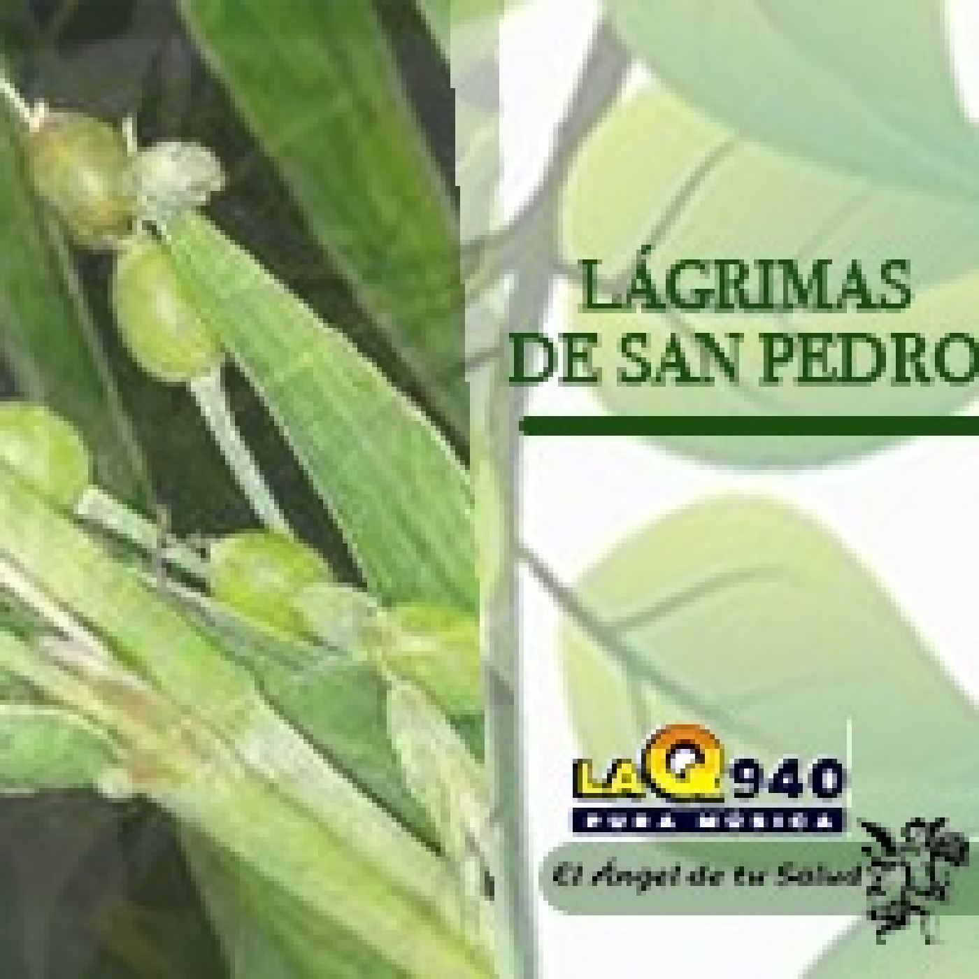 El Ángel de tu Salud - Lágrimas de San Pedro** episode artwork