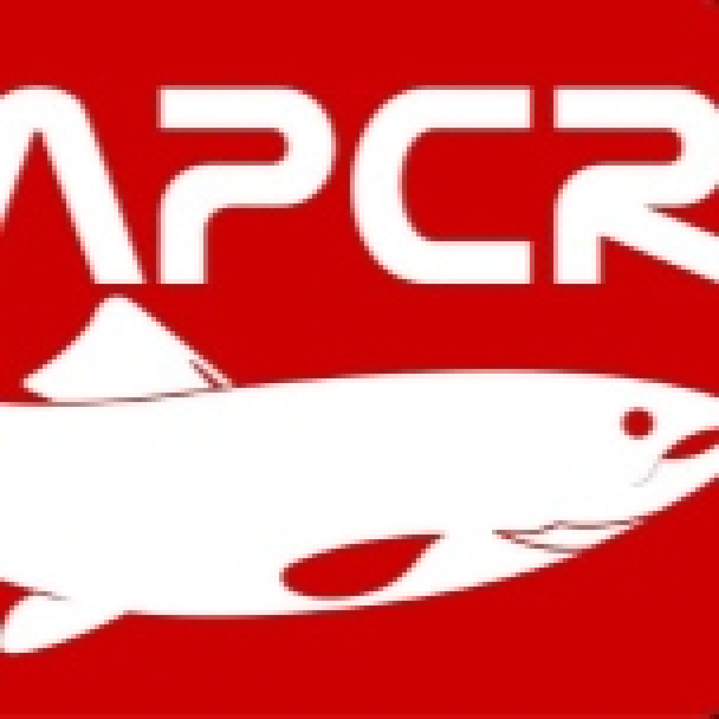 Rio de la Vida pesca