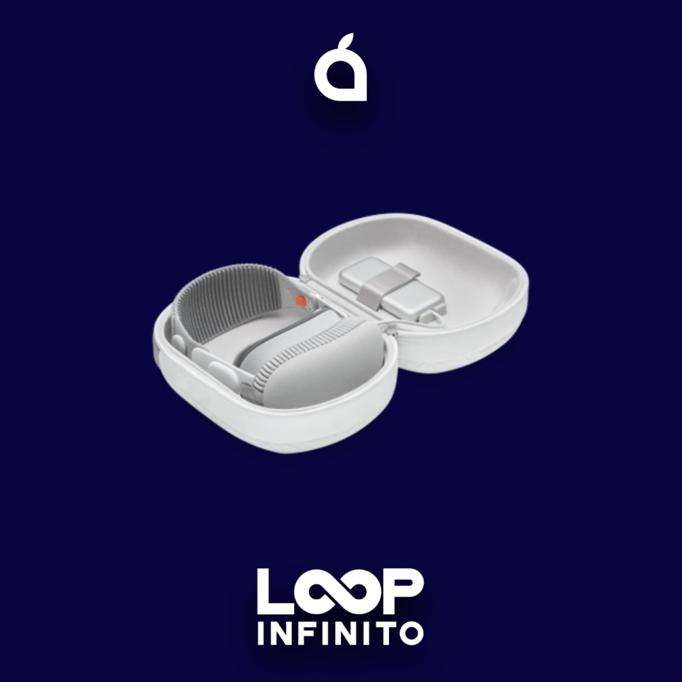 La funda de viaje de las Vision Pro