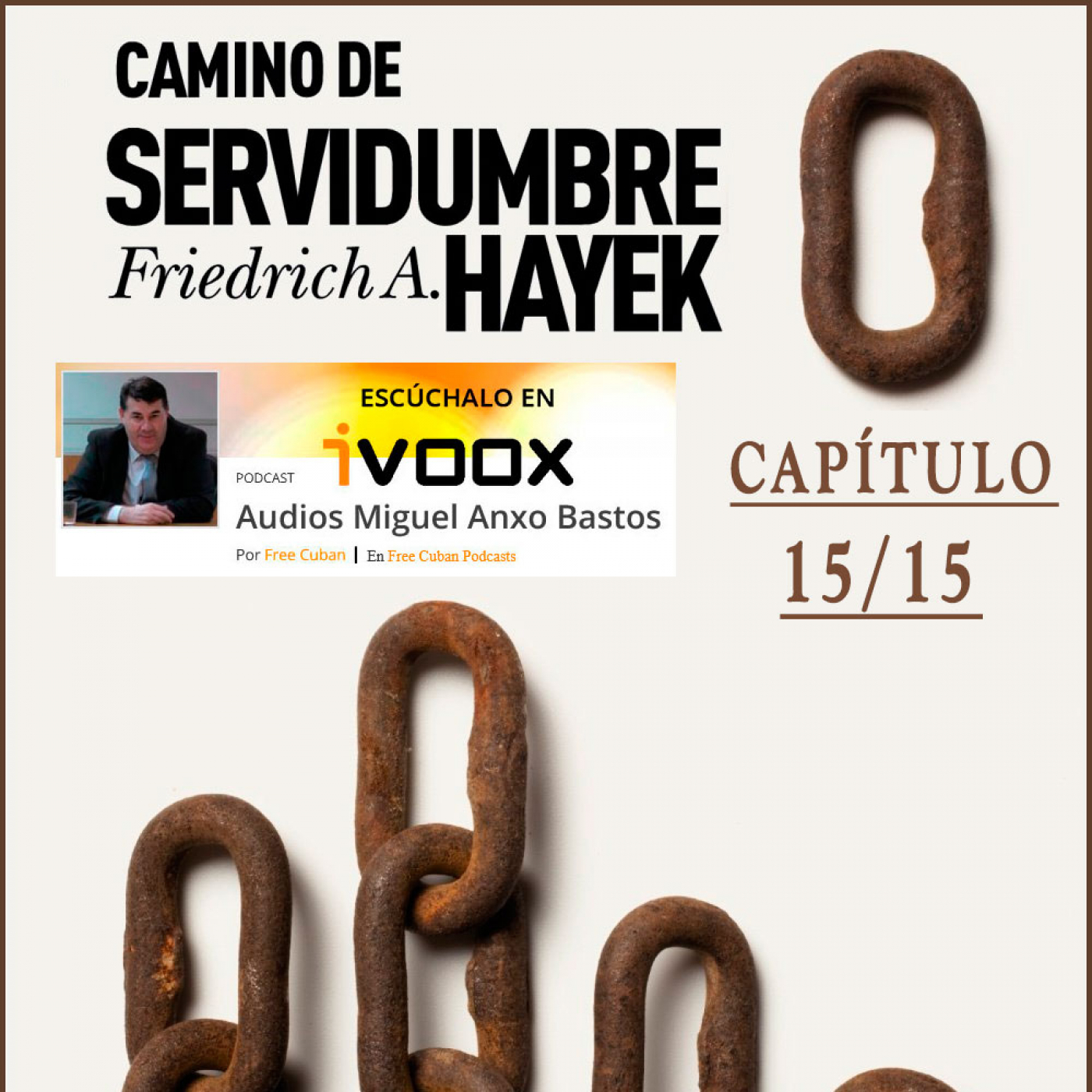 AudioLibros Liberales. Camino de servidumbre|Friedrich Hayek (capítulo 15 y Final) - Episodio exclusivo para mecenas