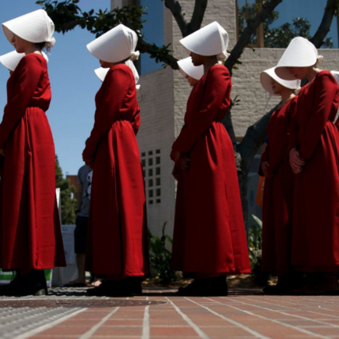 Mi Colmena. Pedro Uceda