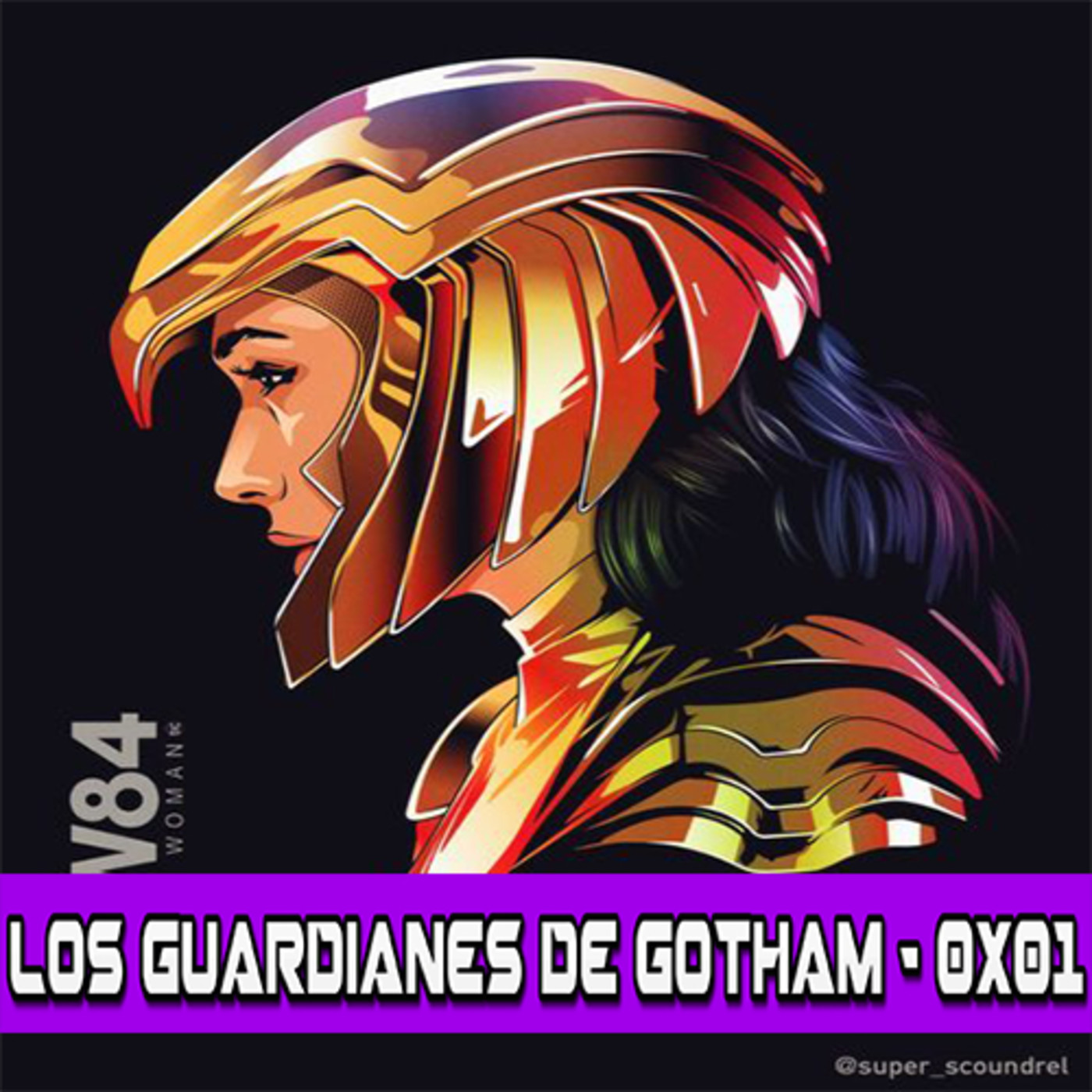 Los Guardianes de Gotham