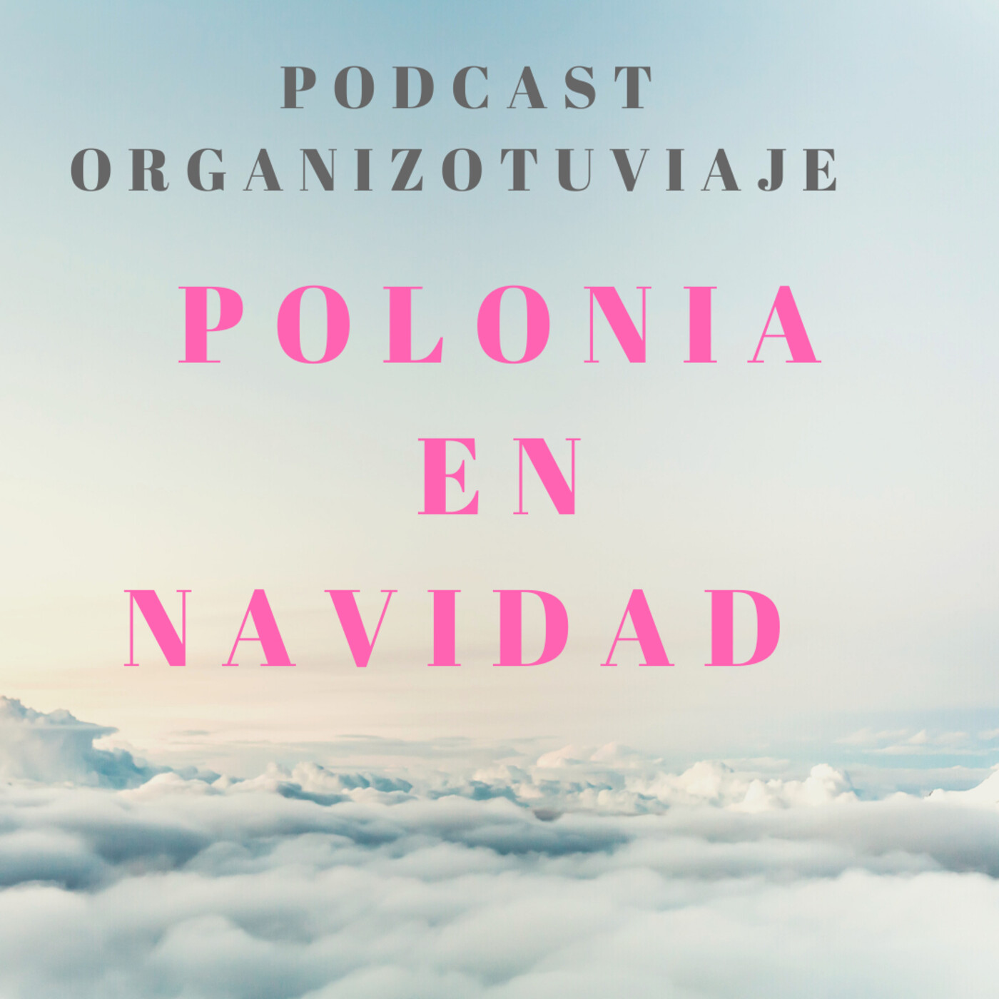 Organizotuviaje