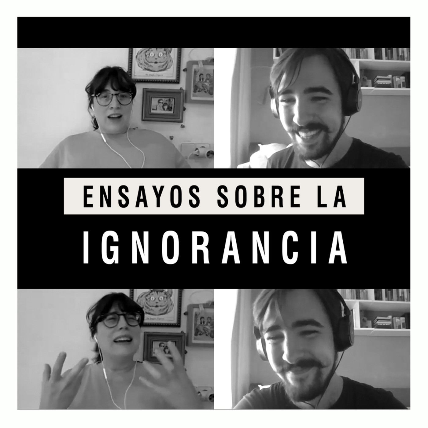 Ensayos sobre la ignorancia